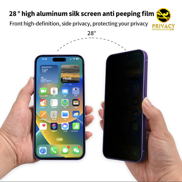 iPhone 17 Series Cristal Clear And Privacy Tempered Glass